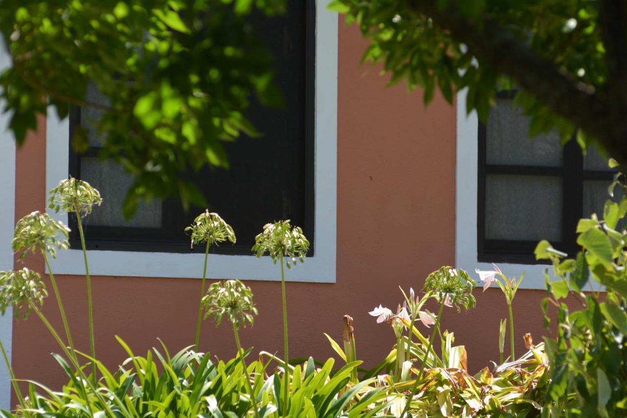 La Monturera, Loft De Campo Apartment Colonia del Sacramento Exterior photo