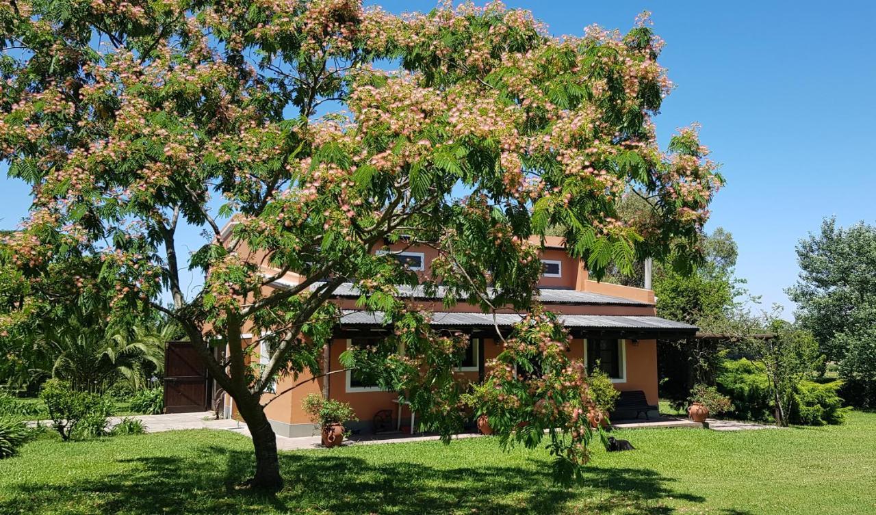 La Monturera, Loft De Campo Apartment Colonia del Sacramento Exterior photo